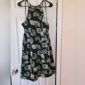 Forever 21+ Palm Leave Mini/midi dress